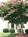 Holiday Inn Express Raleigh-Durham Airport::Priceline.com