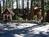 Cozy Hollow Lodge::Orbitz