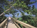 Marco Beach Ocean Resort