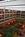 Sheraton Society Hill Hotel::ZoomAndGo