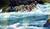 Best Western Four Seasons Inn::Expedia
