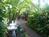Pasa Tiempo A Private Waterfront::Travelocity.com