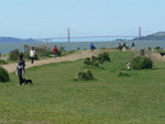 Tn-pt_isabel