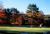 Caesars Pocono Palace::Priceline.com