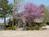 Cameron's Crag::BedAndBreakfast.com