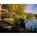 Four Seasons Resort And Club::Yahoo! Travel