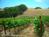 Asuncion Ridge Vineyards and Inn::BedAndBreakfast.com