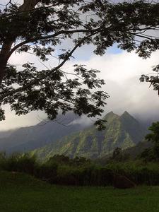 Princeville Ranch Adventures::Amishah's Flickr