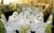 Holiday Inn East Syracuse::Orbitz