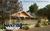 Fanny Hill::Priceline.com