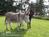 Farmhouse Bed & Breakfast::BedAndBreakfast.com