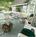 Ashling Cottage::BedAndBreakfast.com