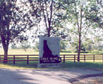 Eagle Island State Park