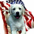 Super 8 Motel - Bend