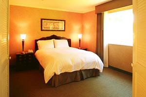 Web-npa_flam-suite-1