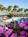 Holiday Inn Sanibel Island::ProfessionalTravelGuide.com