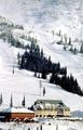 Schweitzer Mountain Resort Trails
