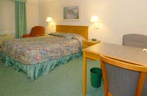 Web-pit_laqu-rooms-1