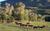 Smith Fork Ranch::CiaoBambino