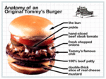 Tn-anatomy