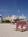 National Hotel from Orbitz