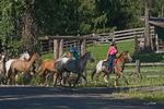 Western Pleasure Guest Ranch
