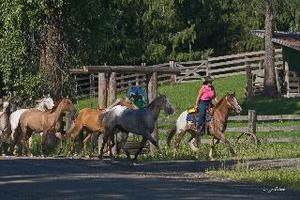Western Pleasure Guest Ranch::Visitidaho.org