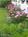 The Inn at New Berlin::BedAndBreakfast.com