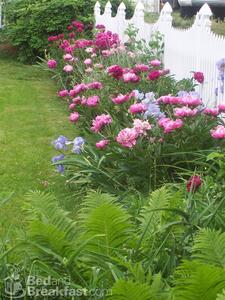 The Inn at New Berlin::BedAndBreakfast.com