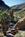 Royal Sun Inn::Orbitz