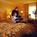 Texas Station Hotel Casino::Expedia