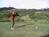 El Conquistador Resort::TripAdvisor