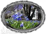 The Mansion Bed and Breakfast