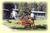 Pine Knot Guest Ranch::DogFriendly.com