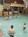 Holiday Inn Amana Colonies from Orbitz