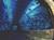 Mandalay Bay Resort & Casino from Orbitz
