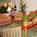 Fairfield Inn and Suites by Marriott Tampa North::ProfessionalTravelGuide.com