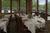Eagle Ridge Inn And Resort::ProfessionalTravelGuide.com