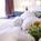 McCamly Plaza Hotel::Priceline.com