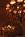 The Fairmont Dallas::ZoomAndGo