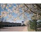 Howard Johnson Hotel - Lawton::Epinions.com