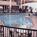 Plaza Hotel and Suites::Priceline.com