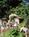 Inn San Francisco::BedAndBreakfast.com