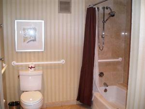 Web-3396358-hotels_and_accommodations-chicago