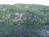 Ledge Rock At Whiteface::TripAdvisor