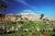 Doral Desert Princess Resort::ProfessionalTravelGuide.com