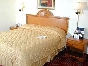 Comfort Inn Mt Dora::Hotels.com
