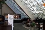 Tn-hilton_bellevue_45609_2_08082006_1608522031_500
