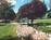 Best Western Pine Springs Inn::Priceline.com