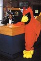 Best Western University Inn